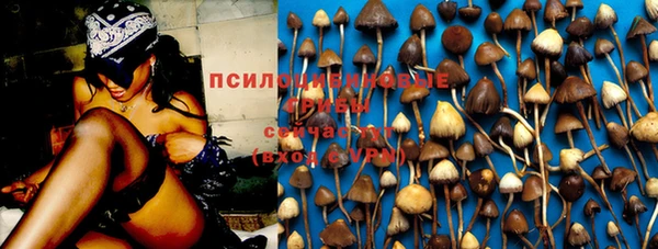 прущая мука Белокуриха