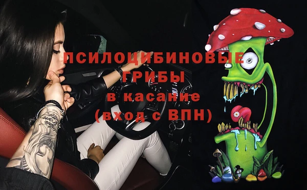 прущие крисы Беломорск